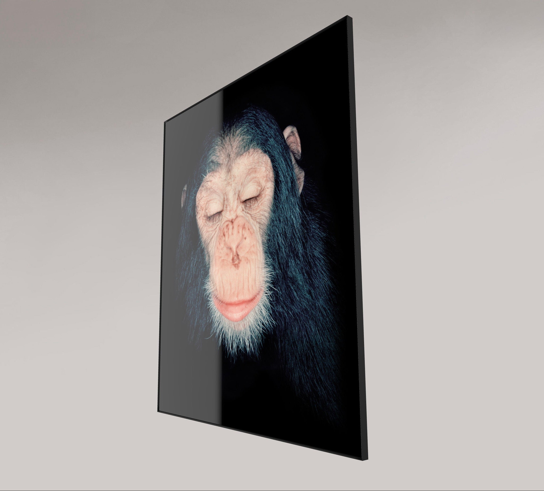 Chimpanzee Milandu, 1995 – animal portrait by Alfred Steffen
