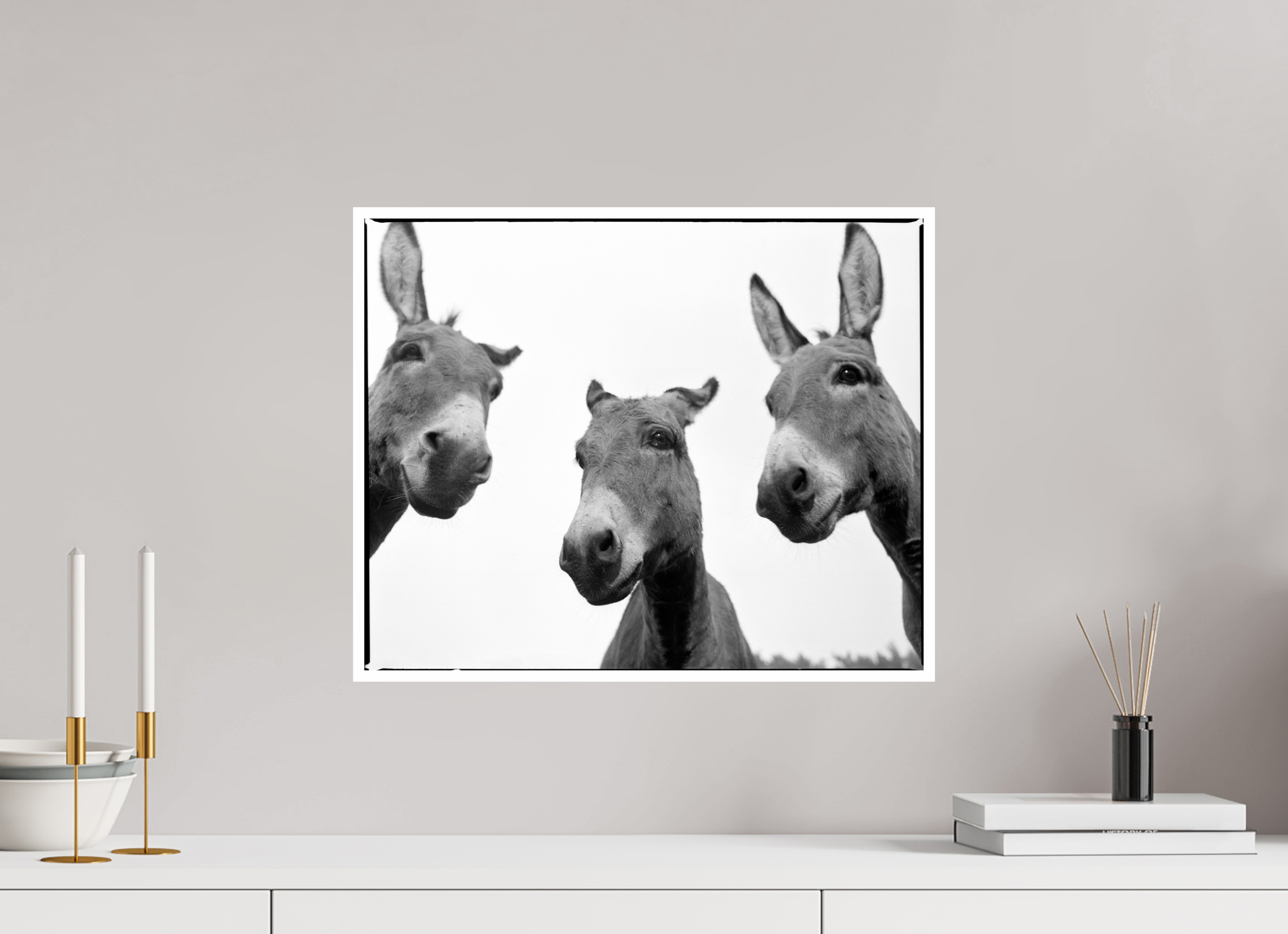 49,5 x 40 cm, Photo Raag Barytha 1cm Rand Eselquer